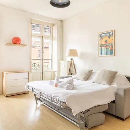 Daire Charming Of 28 M2 In The Heart Of Toulouse